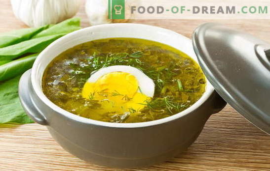 Sorrel juha - poletno razpoloženje! Recepti za oksalno juho z jajcem, mesne kroglice, riž, piščanec, obara