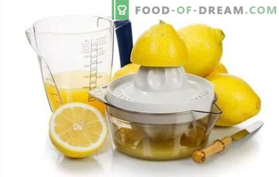 Kuhanje limoninega soka - recepti z božanskim okusom! Limonin sok: recepti za alkoholne in brezalkoholne pijače z njim