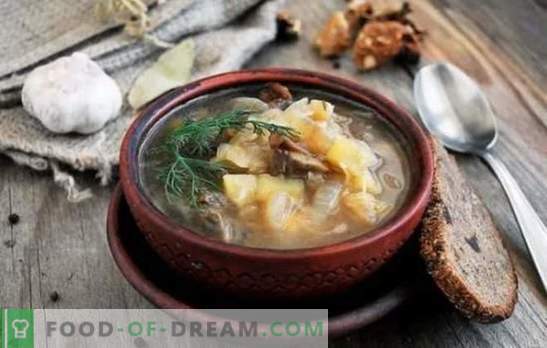 Uživajte v svojem domu z okusno svežo juho z zelenjem. Recepti dišeče zelje z gobami