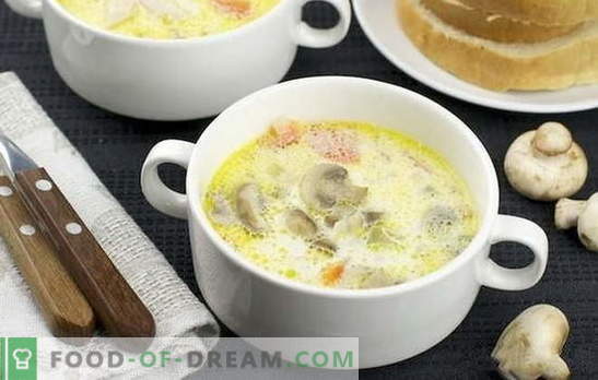 Smetana gobova juha: klasična in izvirna. Svetle recepti za juho z gobicami za poslovne in domače večere