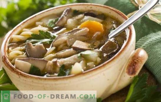 Gobova juha z jurčki - najbolj priljubljena! Recepti gobove juhe z jurčki: smetana, testenine, ječmen, slanina