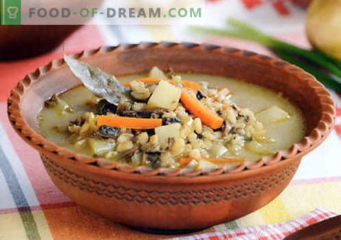 Ječmenova juha - dokazani recepti. Kako pravilno in okusno kuhati juho z ječmenom.