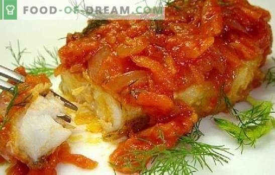 Ribe s paradižnikom: pod „krznenim plaščem“, kislo smetano, sir. Okusni in preprosti recepti iz bele in rdeče ribe s paradižnikom