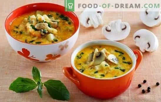 Zuppa con champignon e formaggio - vizia la tua famiglia! Una selezione delle migliori ricette per zuppe con champignons e formaggio fuso