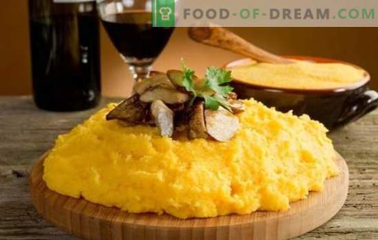 Polenta - koruza! Recepti prave italijanske polente s sirom, paradižniki, gobami, piščancem, različnimi zelenjavami