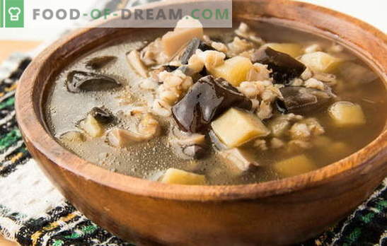 Gobova juha iz zamrznjenih gob - aroma jeseni! Najboljši recepti gobove juhe iz zamrznjenih gob