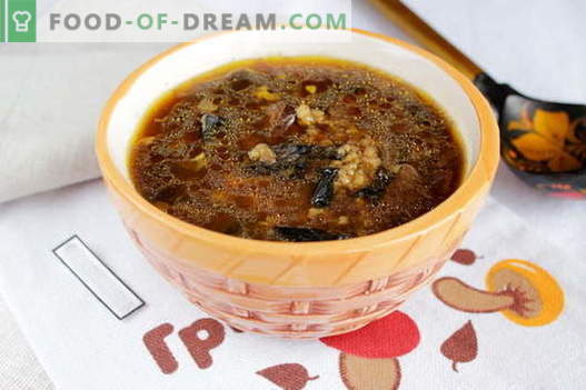 Suha gobova juha - najboljši recepti. Kako pravilno in okusno kuhamo juho iz sušenih gob.
