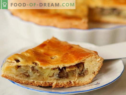 Mushroom Pie - najboljši recepti. Kako pravilno in slastno kuhati pito z gobami.