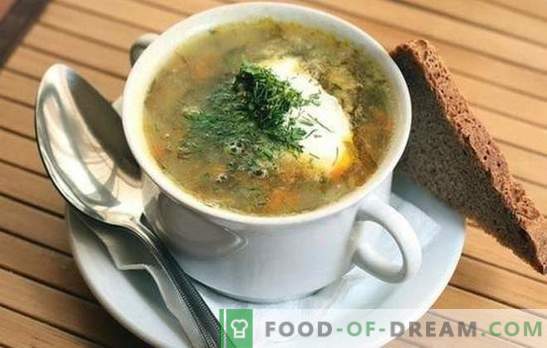 Juha s kislim zeljem: 10 najboljših dokazanih receptov. Triki kuhanja juhe iz zelja iz zelja: z mesom in žitaricami