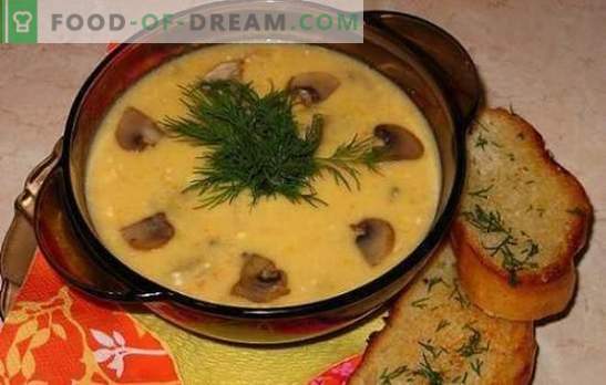Zuppa di formaggio con funghi - delicatamente, gustosa, soddisfacente. Ricette migliori zuppe di formaggio con funghi e pollo, verdure e affumicati