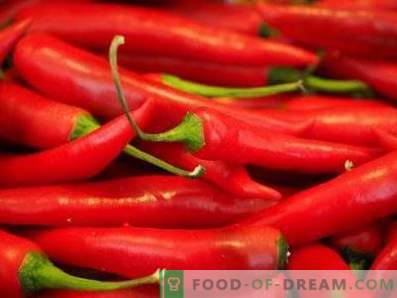 Chili Pepper: korist in škoda