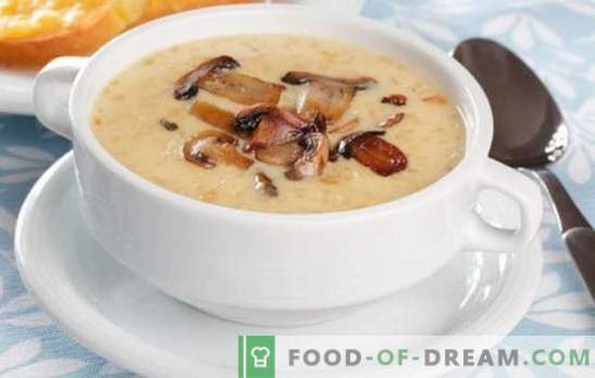 Smetana gobova juha - norost okusov in vonjev! Izbor receptov za različne gobske kremne juhe za vsak dan